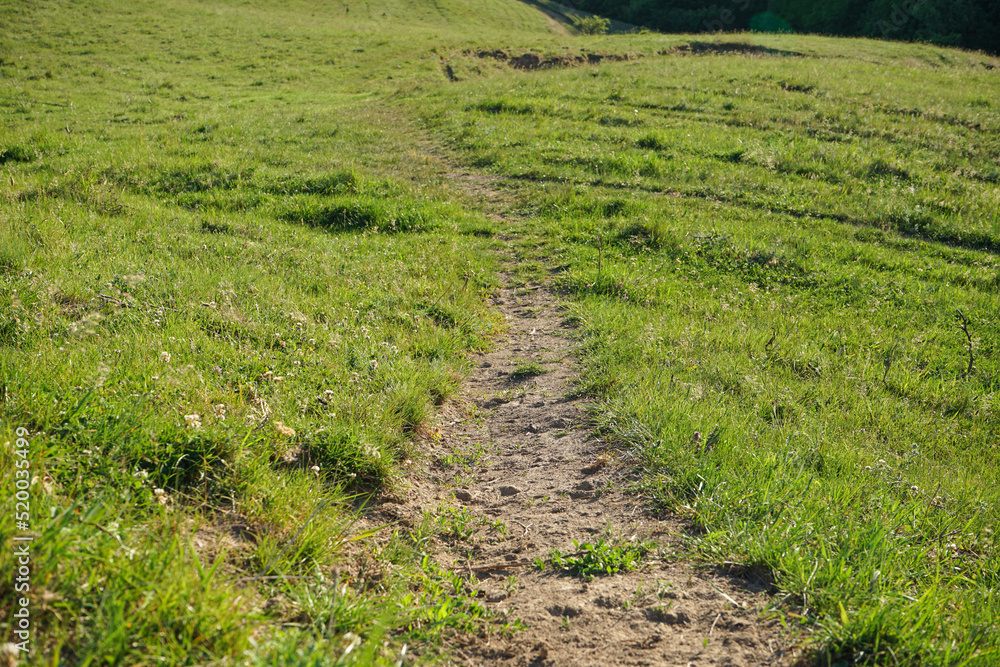 Summer landscape of a green meadow and a path going into the distance, close-up. Summer landscape of a green meadow and a path going into the distance, close-up.