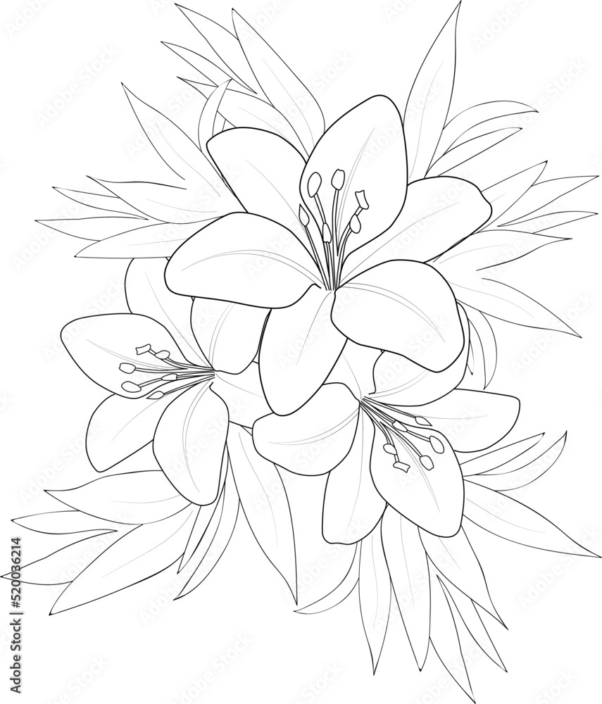 illustration of a flower illustration of a flower