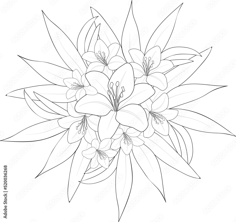 black and white flower coloring page black and white flower coloring page