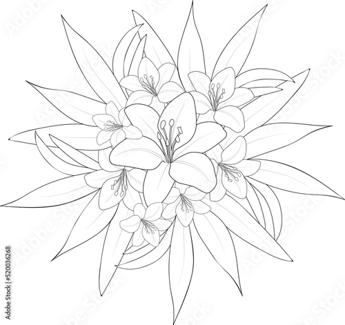 black and white flower coloring page