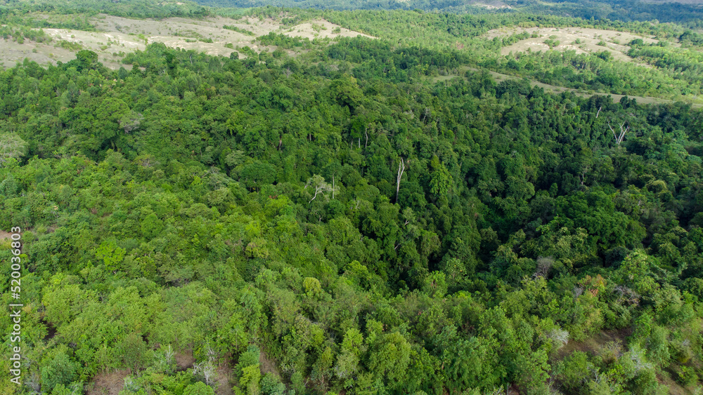 Aerial photo of tropical forest in Aceh Province, Indonesia. Aerial photo of tropical forest in Aceh Province, Indonesia.