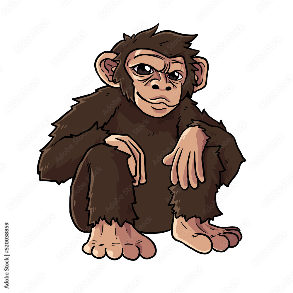 Obraz premium Chimpanzee Monkey