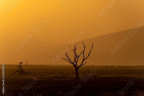 Sunrise in Namib Desert in Namibia, Africa