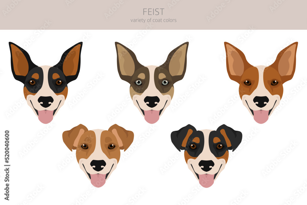 Feist dog clipart. Different coat colors set Feist dog clipart. Different coat colors set