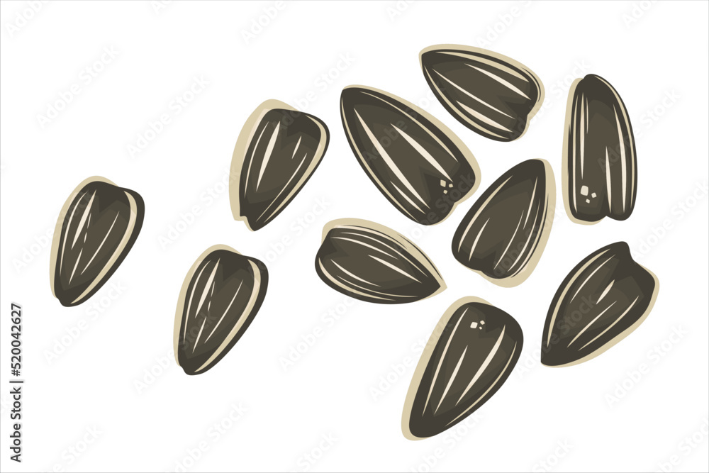 Sunflower seeds vector illustration isolated on white. Sunflower seeds vector illustration isolated on white.