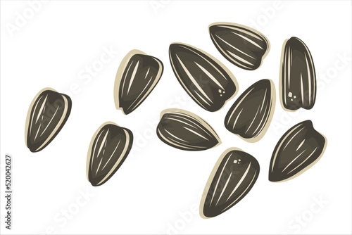 Sunflower seeds vector illustration isolated on white.