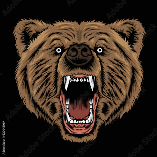 the head of a bear who is angry because his food is disturbed