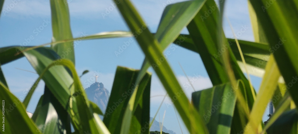 Naklejka premium Praia Vermelha Sugarloaf Mountain Christ the Redeemer plaza park vegetation path bromeliad stone mountain hill garden army flag Brazil fluttering house street building tree ivy