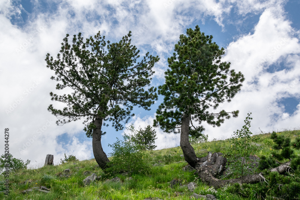 Scenic nature view of Albanian nature. Alpin environment background, traveling concept Scenic nature view of Albanian nature. Alpin environment background, traveling concept