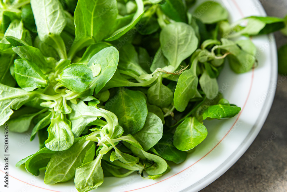 mache salad green corn leaves mung bean lettuce fresh healthy meal food snack diet on the table copy space food background mache salad green corn leaves mung bean lettuce fresh healthy meal food snack diet on the table copy space food background