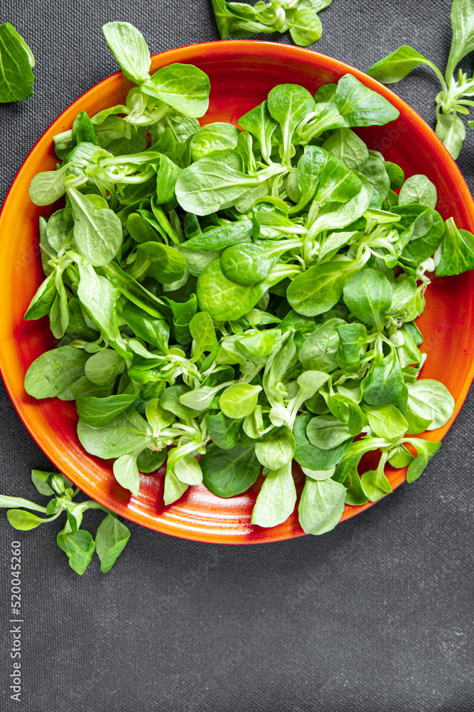 mache salad green corn leaves mung bean lettuce fresh healthy meal food snack diet on the table copy space food background mache salad green corn leaves mung bean lettuce fresh healthy meal food snack diet on the table copy space food background