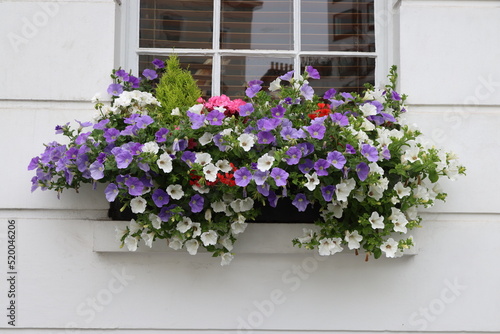 Flowers on the balcony in a typical London house © Stefano