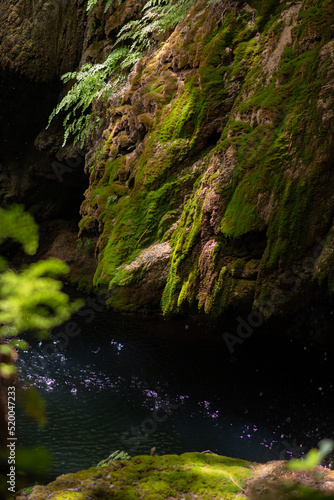 waterfall in the forest