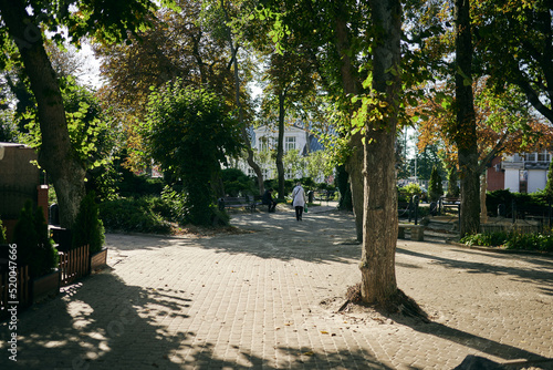 City park alley in autumn.