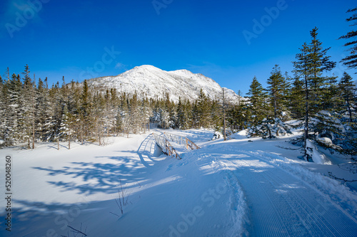 Cross country skiing trail to Xalibu mountain, Gaspesie national park, Quebec, Canada photo