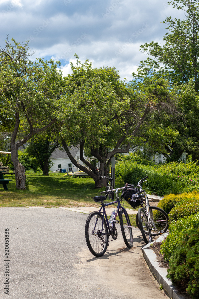 Vertical landscape of two parked bicycles in front and behind greenery on road