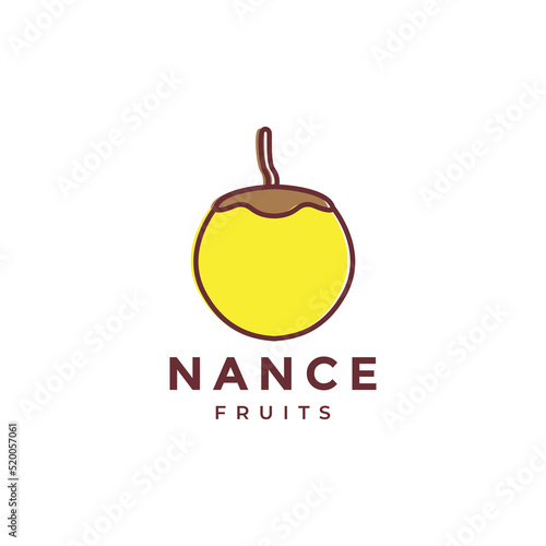 nance fruit abstract logo design photo