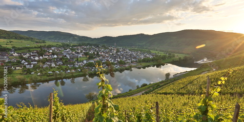 Moselpanorama mit Weinbergen, Deutschland 