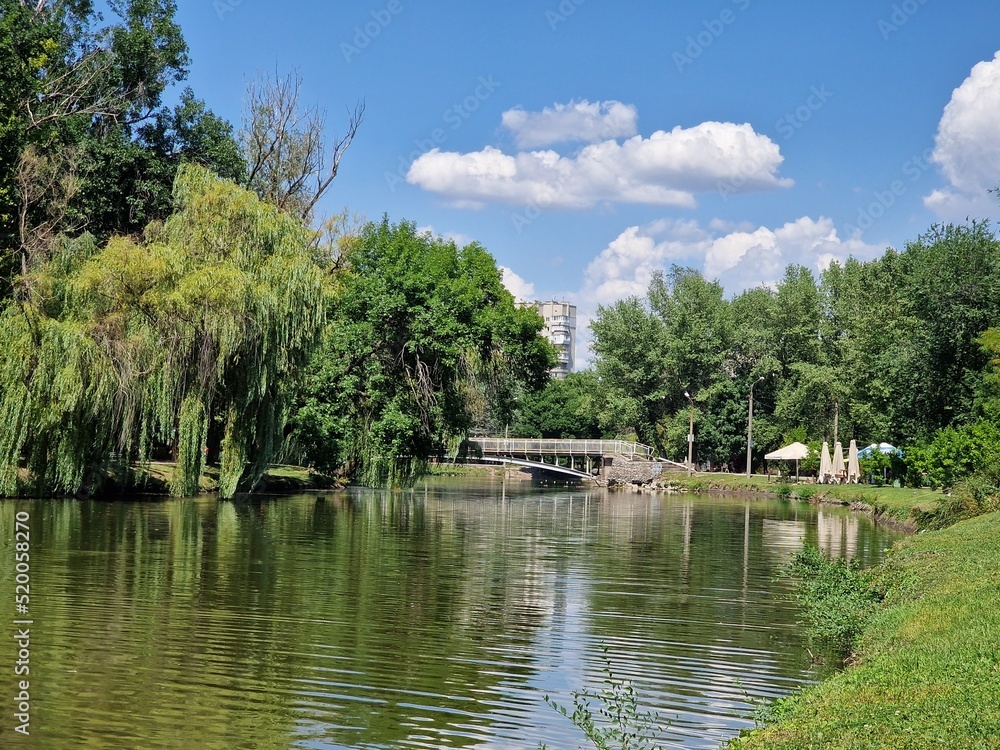 lake and green trees in a recreation park in summer, nature of Ukraine lake and green trees in a recreation park in summer, nature of Ukraine