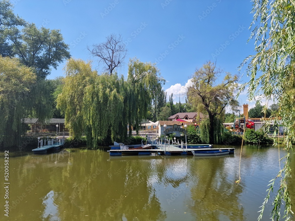 Obraz premium lake and green trees in a recreation park in summer, nature of Ukraine