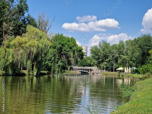 lake and green trees in a recreation park in summer, nature of Ukraine