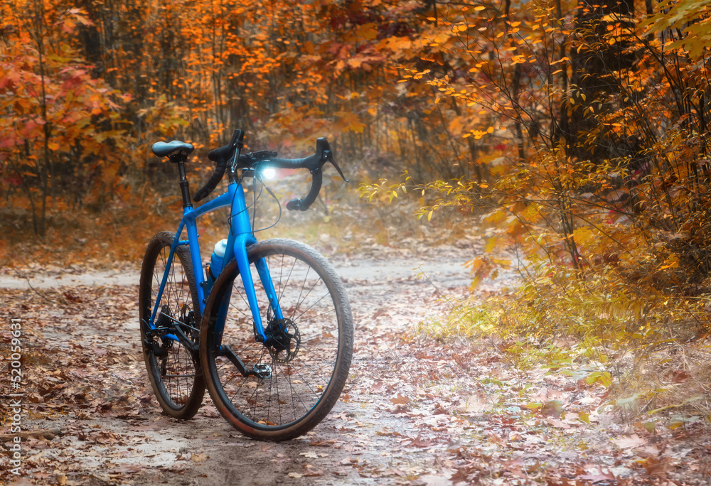 Bicycle with flashlight turns on is standing on a path in a magical autumn forest. Sport and recreation.Nature.