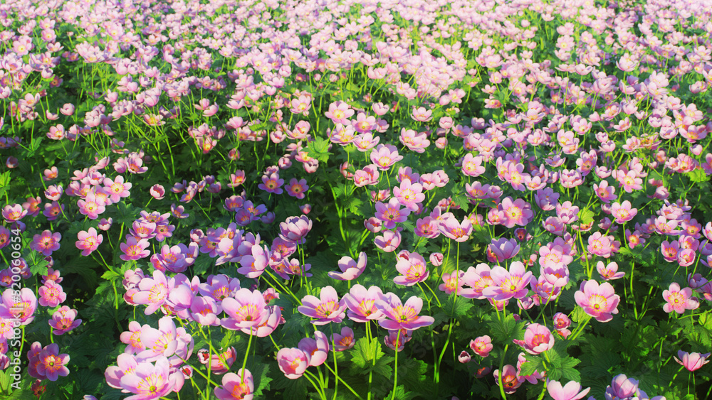 Pink Flowers Field Background 3D Rendering Pink Flowers Field Background 3D Rendering