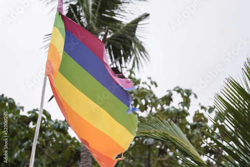 Φωτογραφία Rainbow gay flag tattered by the wind into the palm forest