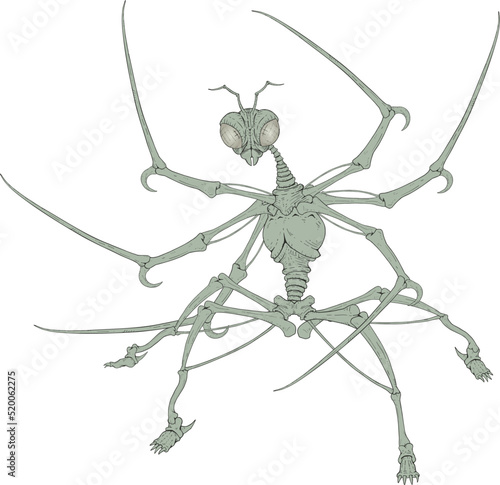 Mutant mantis hand draw animal