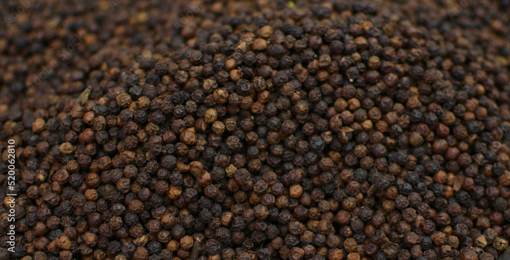 Black pepper grains as background close up Black pepper grains as background close up