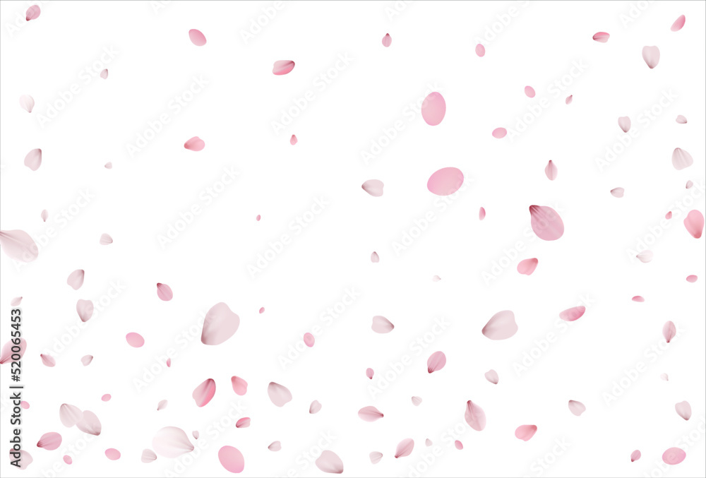 Sakura petals background. Cherry petals backdrop