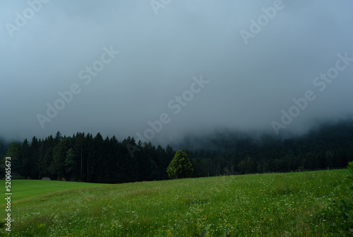 dramatic landscape shot of a single tree surrounded by clouds below the gaisberg in Austria  a storm is approaching.