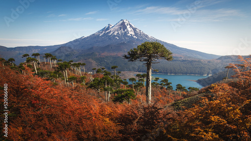 Volcan Llaima, Parque Nacional Conguillio photo