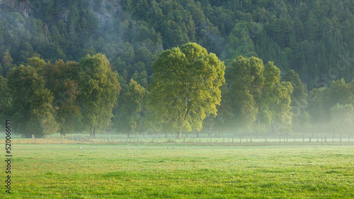 Fotografie Amanecer en el campo