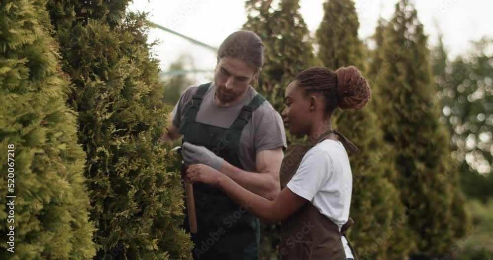 Man teaching woman to trim trees Man teaching woman to trim trees