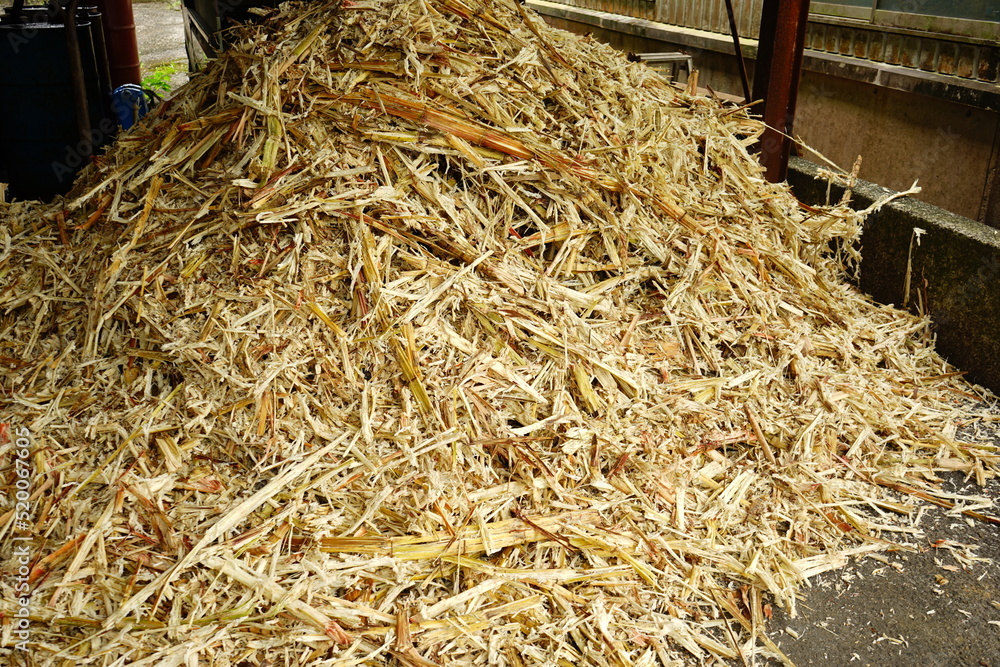 Sugar cane Pomace in Amami Oshima, Kagoshima, Japan - 日本 鹿児島 奄美大島 さとうきび 搾りかす