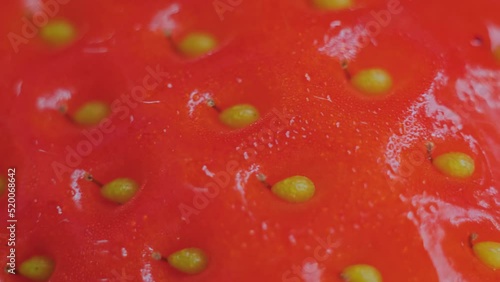 Wallpaper Mural Close up: fresh juicy red strawberry on rotating surface - macro. Organic, summer and healthy food concept Torontodigital.ca