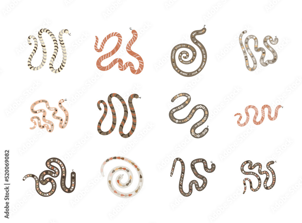 simple decorative vector snakes set simple decorative vector snakes set