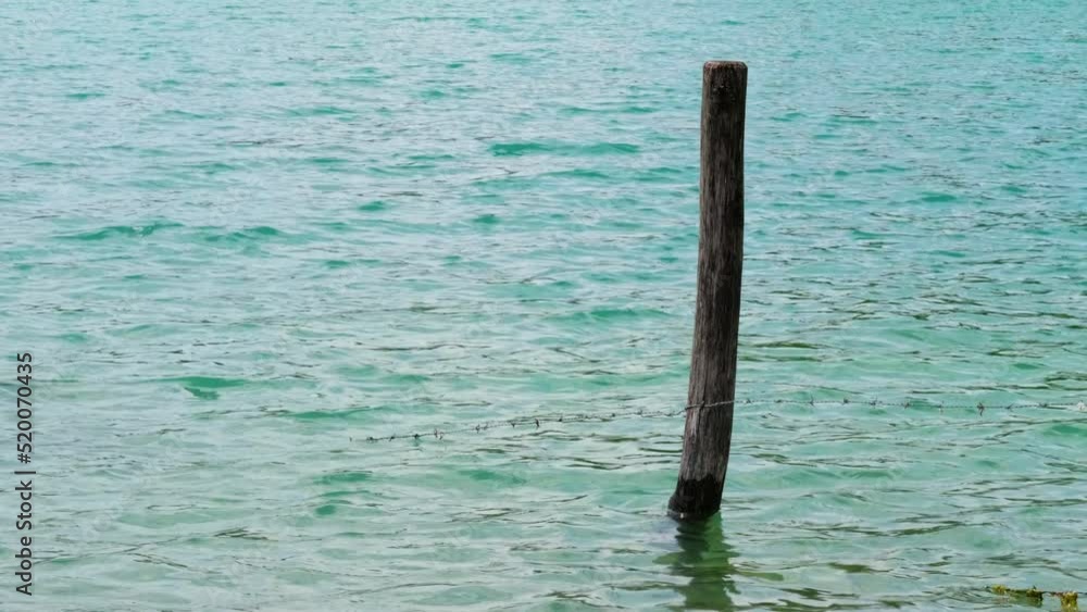 On the shore of the Walchensee in Bavaria, Germany. On the shore of the Walchensee in Bavaria, Germany.