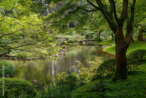 A bridge and reflection pond in the Japanese Nitobe Memorial Botanical Garden  Vancouver  BC  British Columbia  Canada