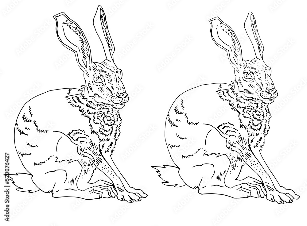 Obraz premium Freehand line drawing bunny Easter card with rabbit. One line illustration of hare pet animal. Clipart for design monochrome graphics. Character for children's book about zoo and wildlife
