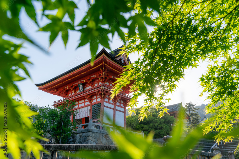 Fototapeta premium 赤寺