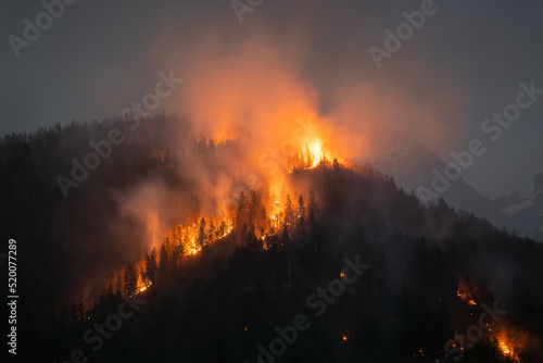 Obraz na plátně Forest wildfire at night a natural disaster
