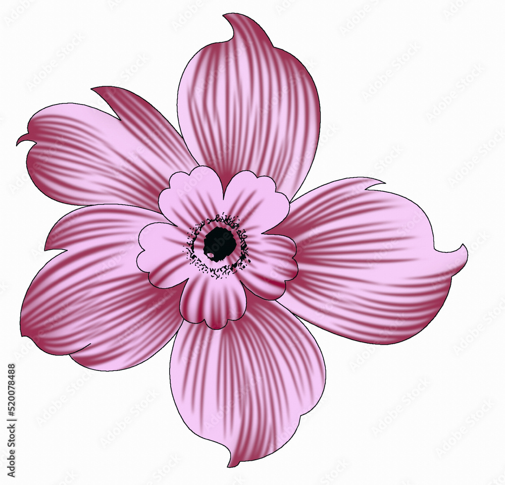 beautiful latest digital textile design flowers and leaves for printing, isolated beautiful latest digital textile design flowers and leaves for printing, isolated