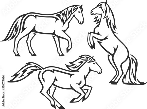 Stylized Domestic Horse