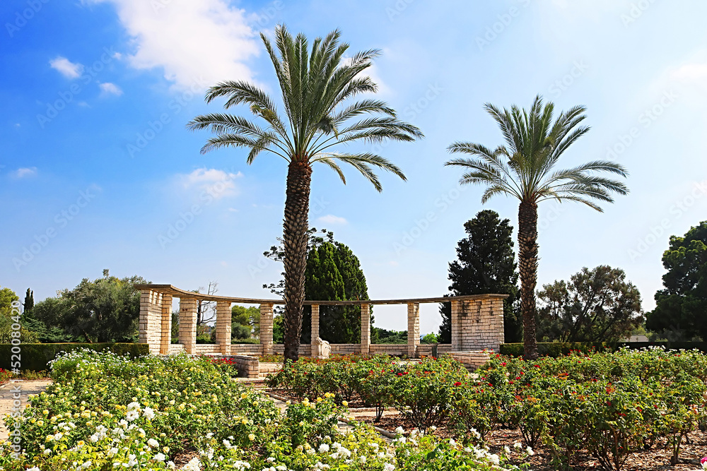 Obraz na płótnie Rose garden, palms and sun clock, Park Ramat Hanadiv
