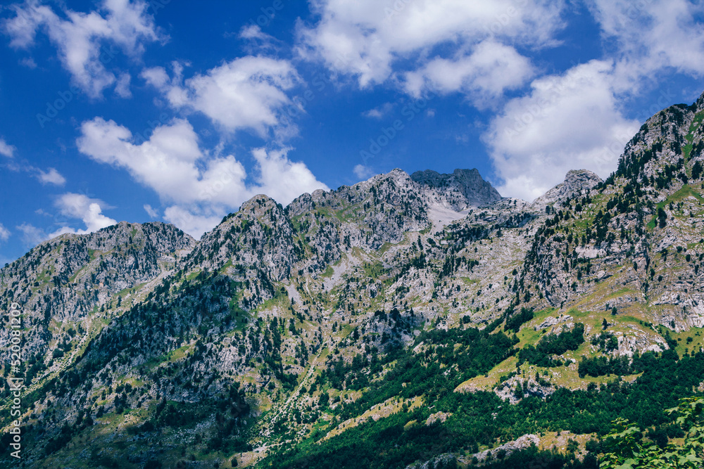 Summer landscape - Albanian mountains, covered with green trees and blue sky with white clouds