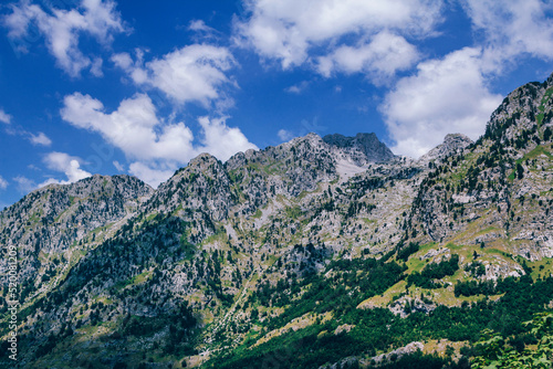 Summer landscape - Albanian mountains, covered with green trees and blue sky with white clouds © elenakirey