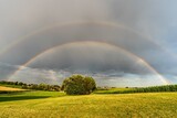 Regenbogen im Feld