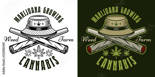 Two crossed weed joints and bucket hat vector emblem, badge, label or logo for marijuana growing company. Illustration in two styles black on white and colorful